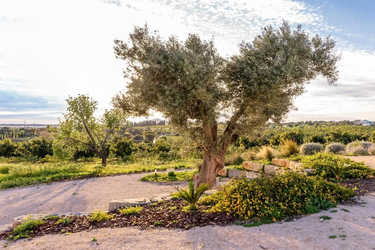 Quinta Da Baleeira Villa Tavira